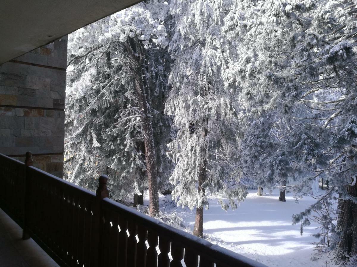 Luxury Apartament In "Sequoia" 2 Borovets Luaran gambar